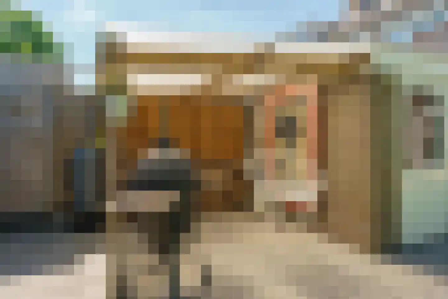 Poorterstraat 19 Geldrop thumbnail 43