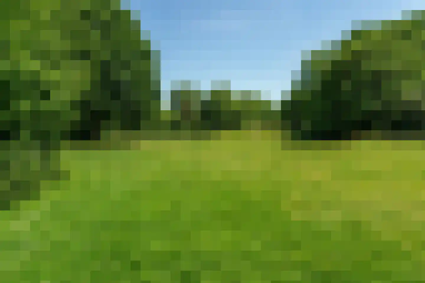 Poorterstraat 19 Geldrop thumbnail 46