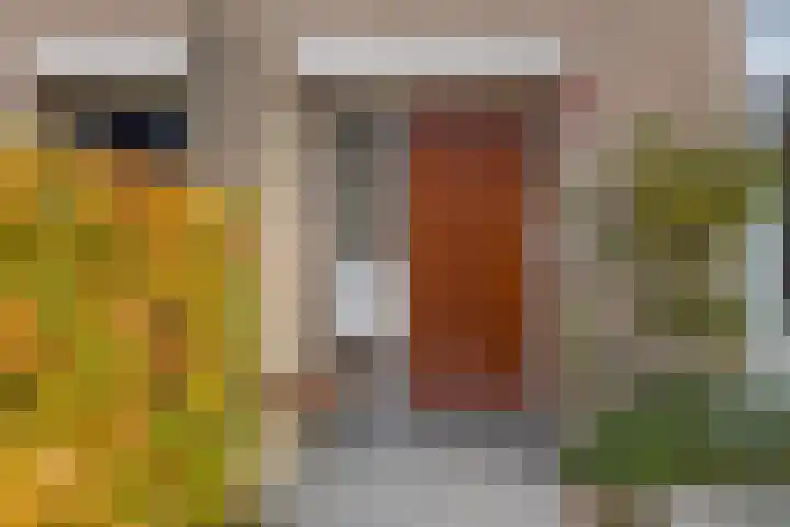 Poorterstraat 29 Geldrop thumbnail 10