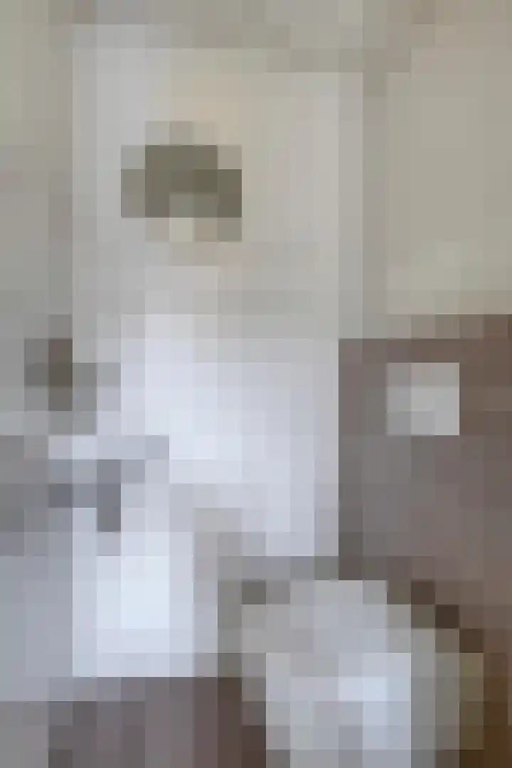 Poorterstraat 29 Geldrop thumbnail 13