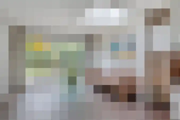 Poorterstraat 29 Geldrop thumbnail 21