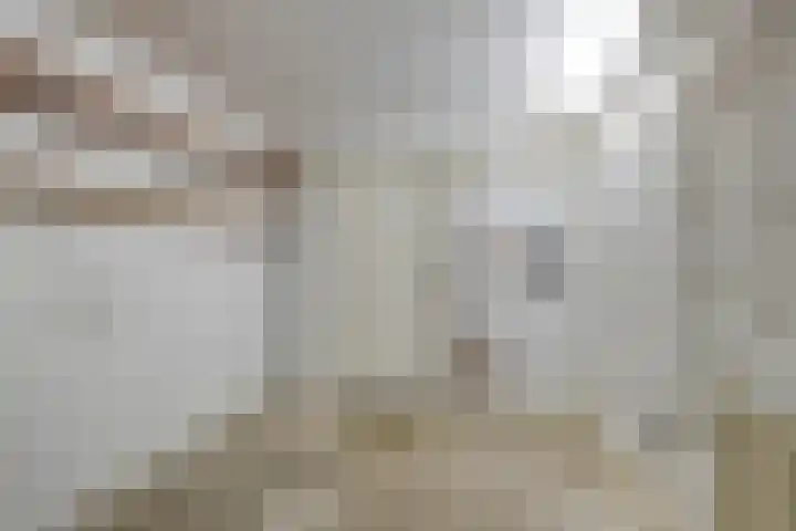 Poorterstraat 29 Geldrop thumbnail 27