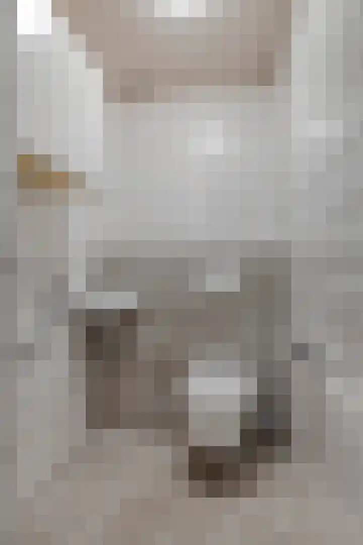 Poorterstraat 29 Geldrop thumbnail 29