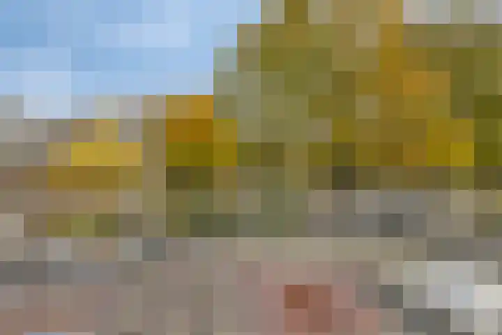 Poorterstraat 29 Geldrop thumbnail 35
