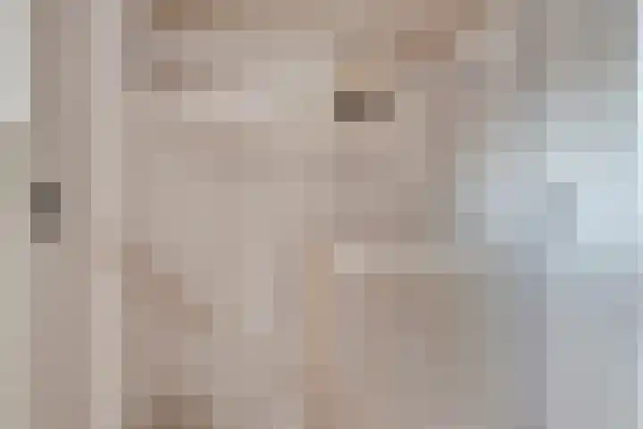 Poorterstraat 29 Geldrop thumbnail 36