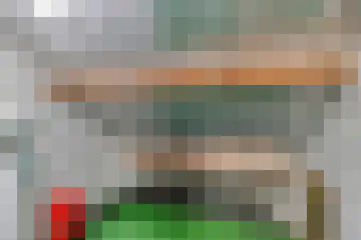 Poorterstraat 29 Geldrop thumbnail 38