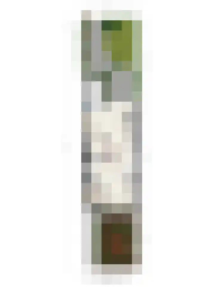 Poorterstraat 29 Geldrop thumbnail 42
