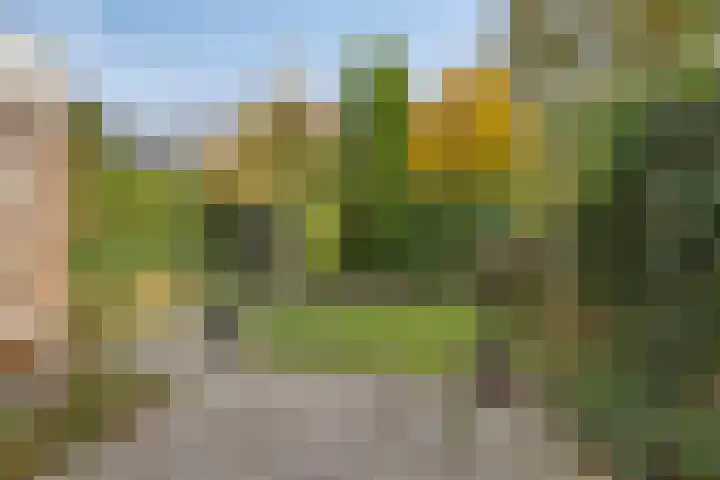 Poorterstraat 29 Geldrop thumbnail 6