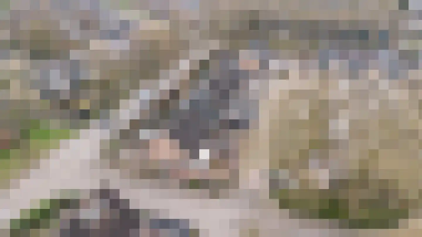 Poortersveld 102 Apeldoorn thumbnail 35