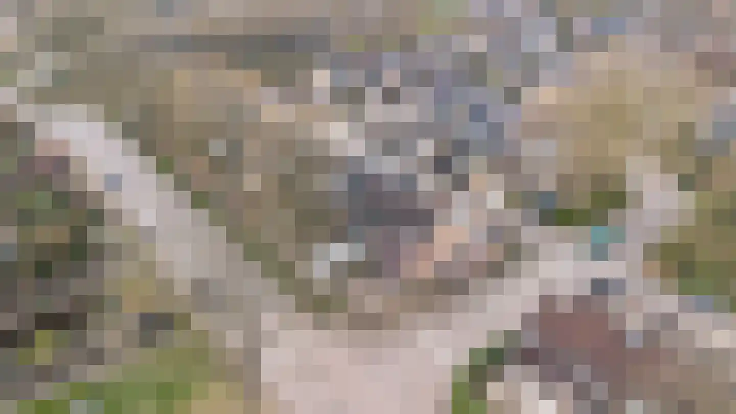 Poortersveld 102 Apeldoorn thumbnail 36