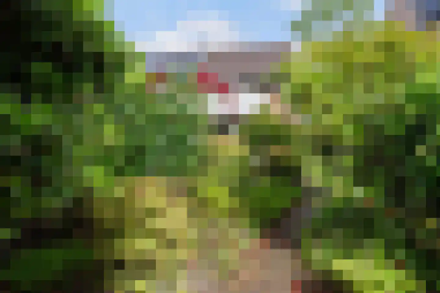 Poortersveld 109 Apeldoorn thumbnail 11