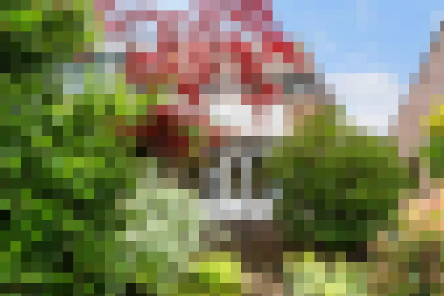 Poortersveld 109 Apeldoorn thumbnail 13