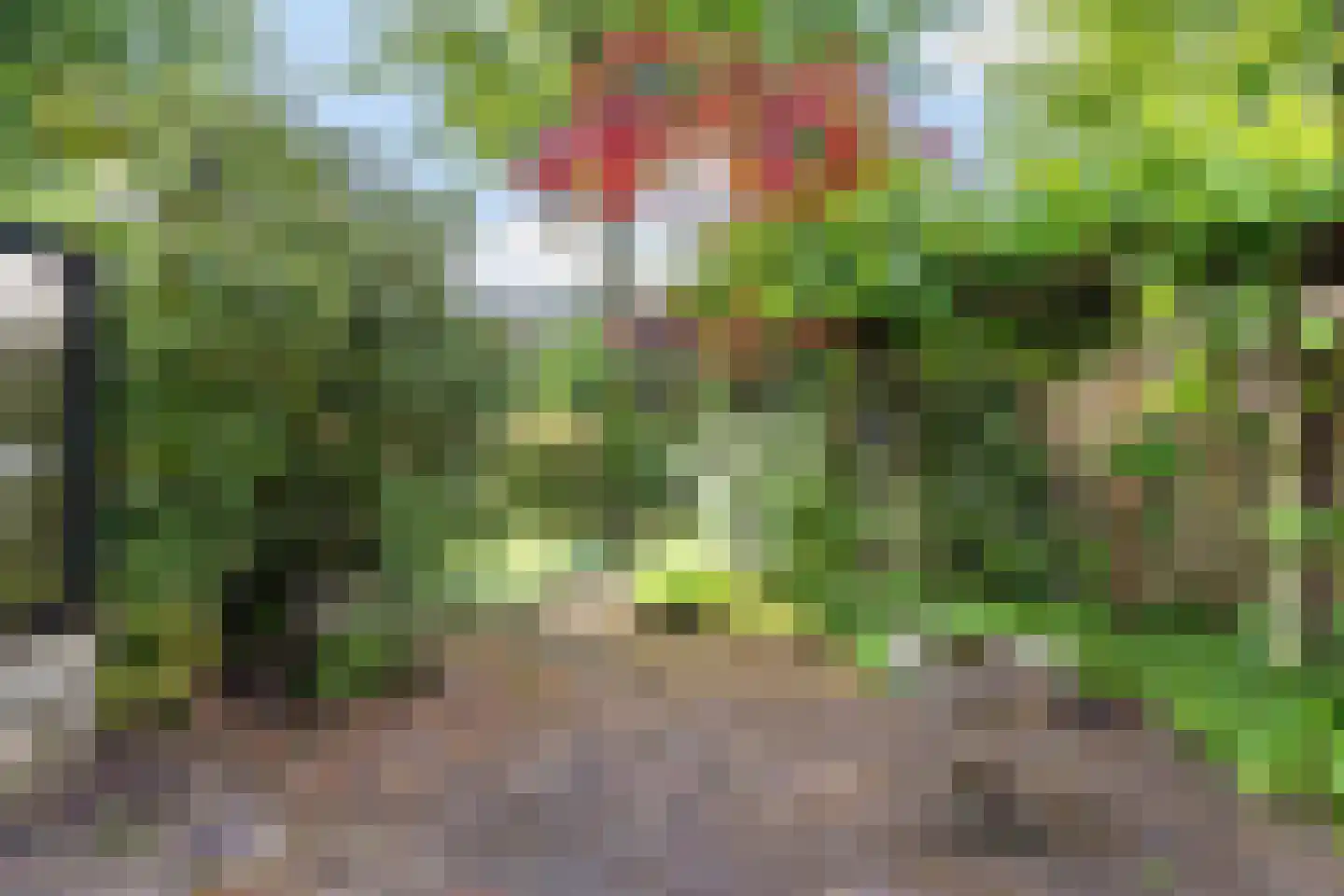 Poortersveld 109 Apeldoorn thumbnail 7