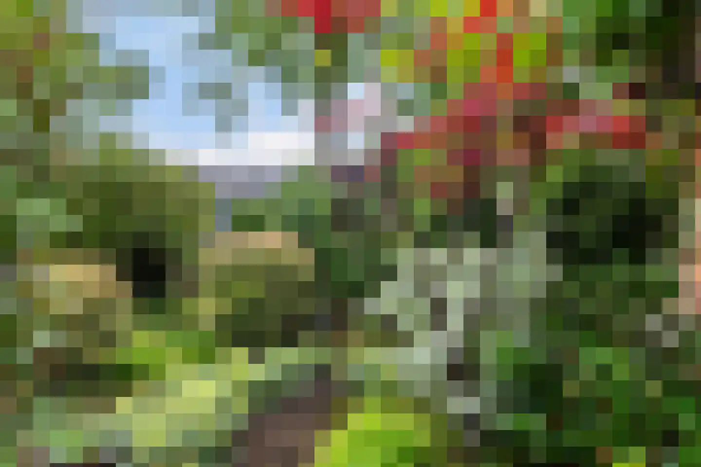 Poortersveld 109 Apeldoorn thumbnail 8