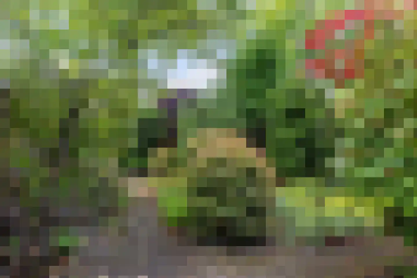 Poortersveld 109 Apeldoorn thumbnail 9