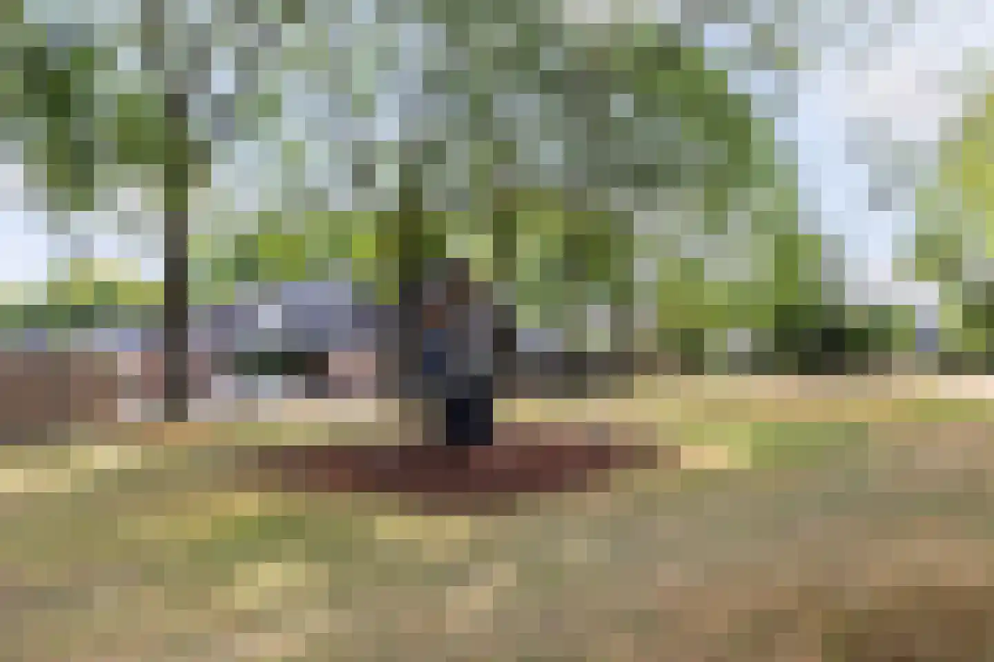 Poortersveld 110 Apeldoorn thumbnail 30