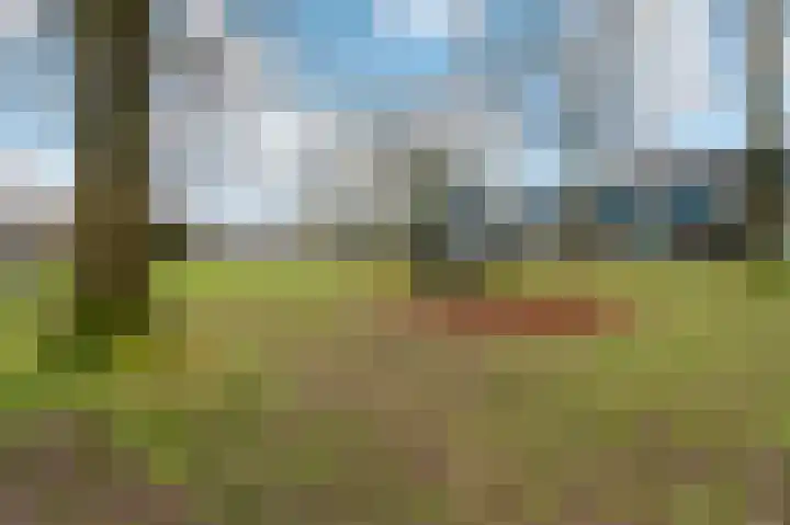 Poortersveld 111 Apeldoorn thumbnail 30