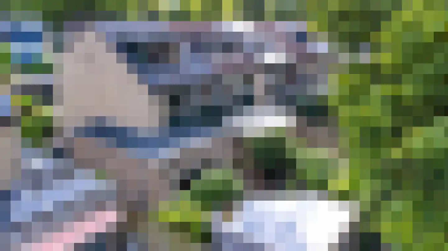 Poortersveld 121 Apeldoorn thumbnail 6