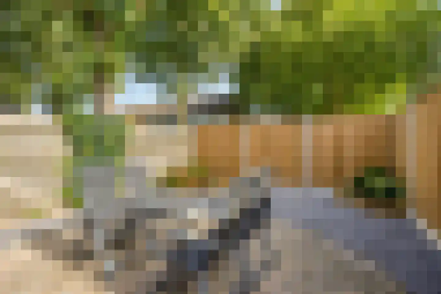 Poortersveld 202 Apeldoorn thumbnail 31