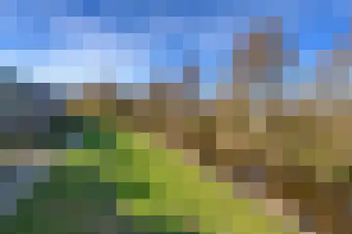 Poortersveld 810 Apeldoorn thumbnail 26
