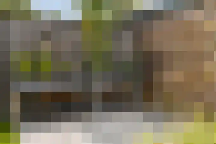 Poortersveld 814 Apeldoorn thumbnail 33
