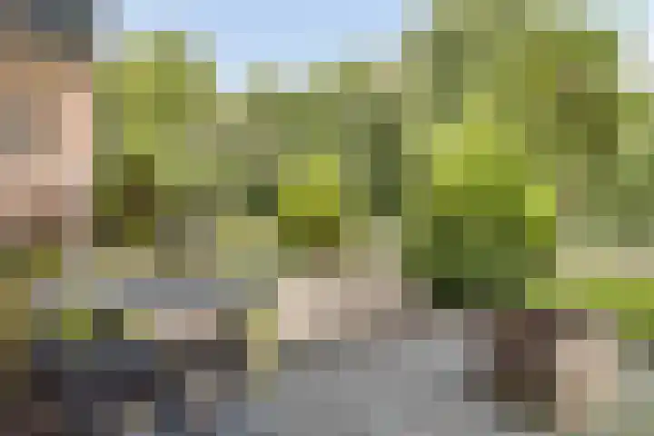 Poortersveld 814 Apeldoorn thumbnail 4