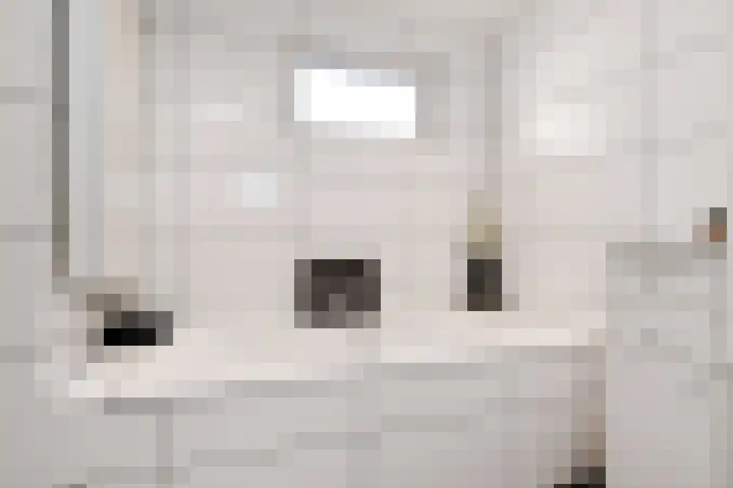 Poorterweg 35 Koningslust thumbnail 13