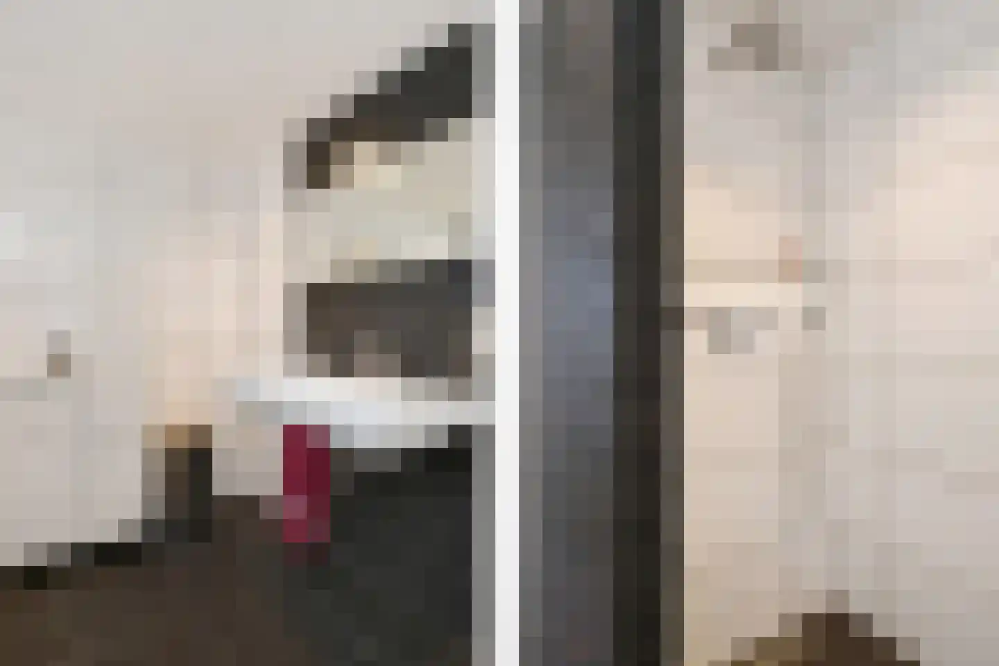Poorterweg 35 Koningslust thumbnail 14
