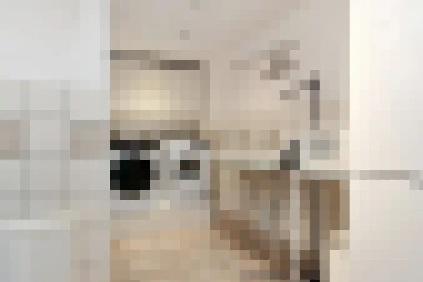 Poorterweg 35 Koningslust thumbnail 15