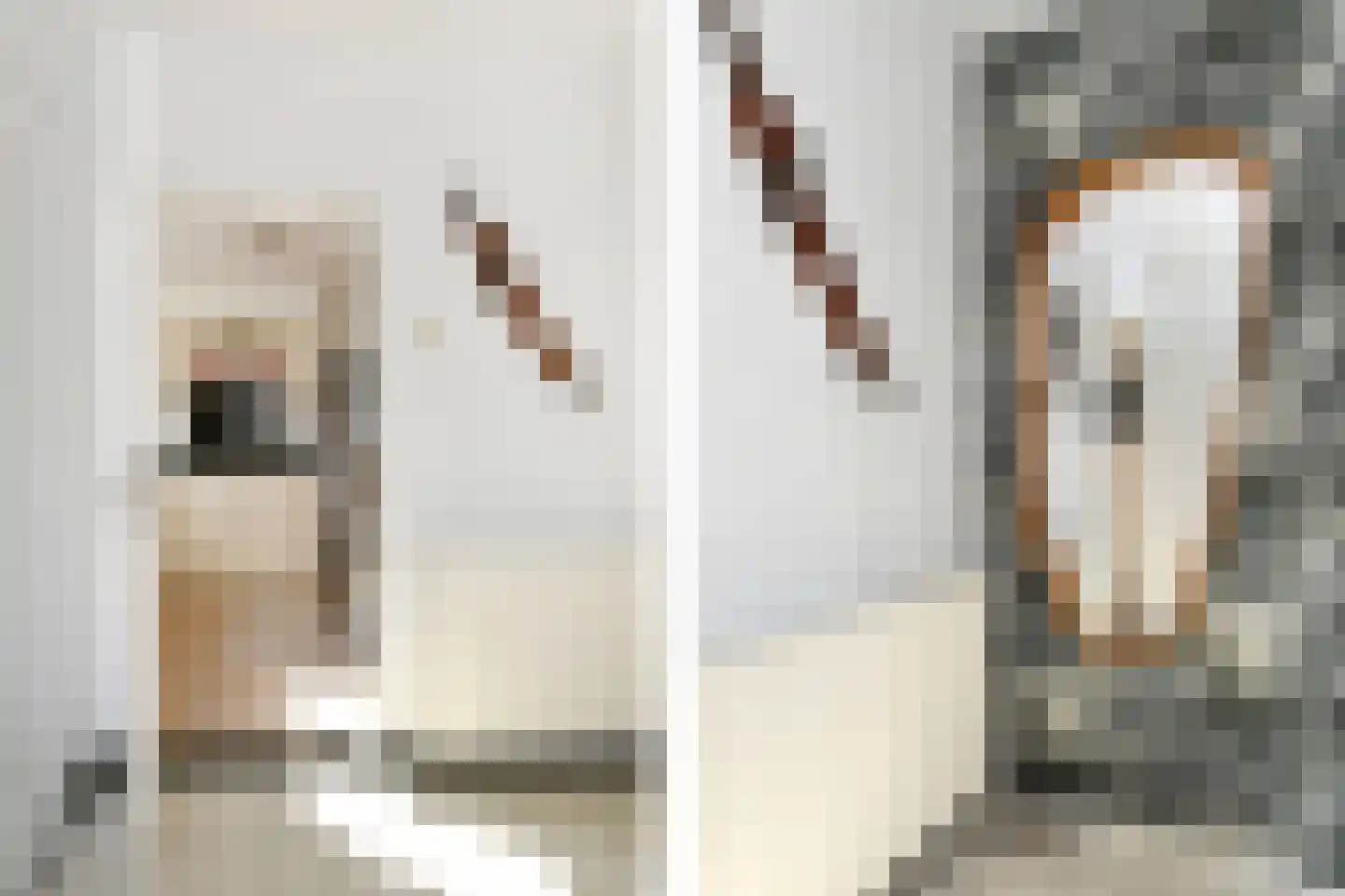 Poorterweg 35 Koningslust thumbnail 16