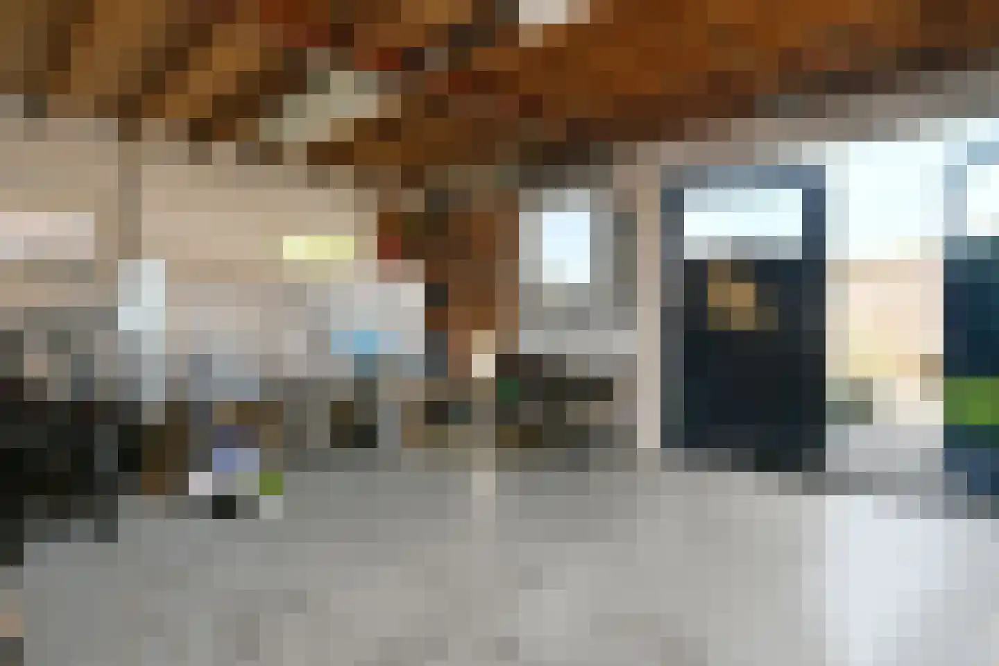 Poorterweg 35 Koningslust thumbnail 33