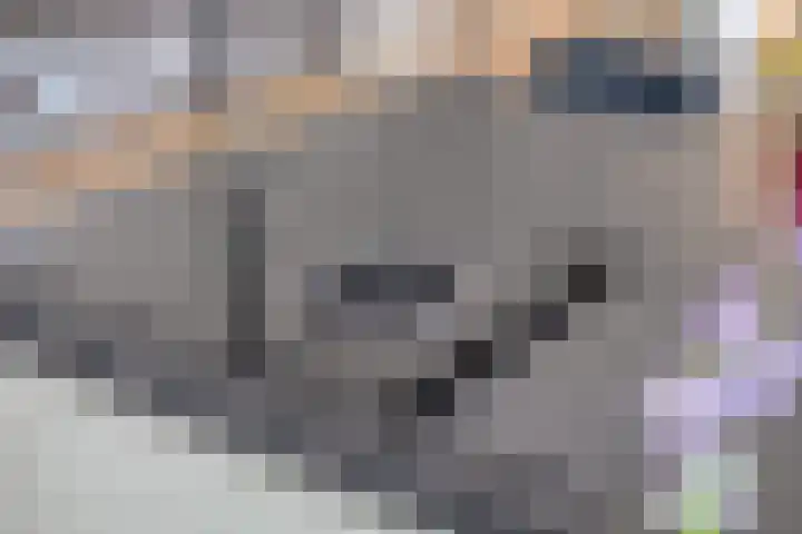 Poorthoeve 8 Veldhoven thumbnail 16