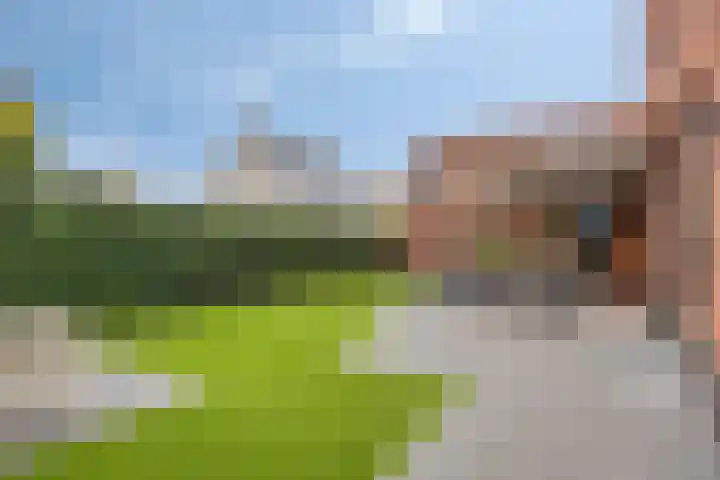 Poorthoeve 8 Veldhoven thumbnail 41