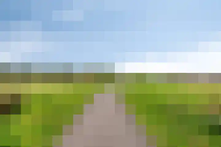 Poorthoeve 8 Veldhoven thumbnail 51
