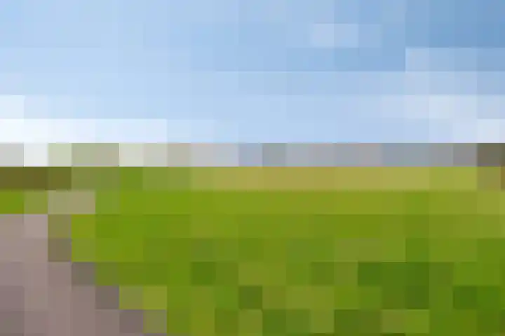 Poorthoeve 8 Veldhoven thumbnail 53