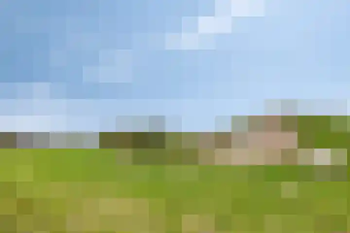 Poorthoeve 8 Veldhoven thumbnail 54