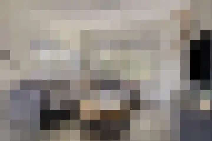 Poorthof 10 Oosterwolde thumbnail 10