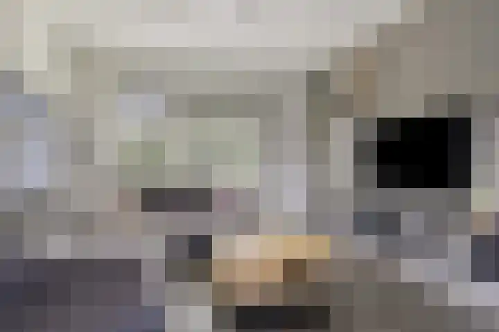 Poorthof 10 Oosterwolde thumbnail 11