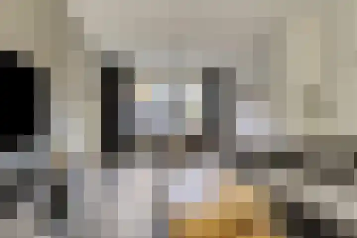 Poorthof 10 Oosterwolde thumbnail 12