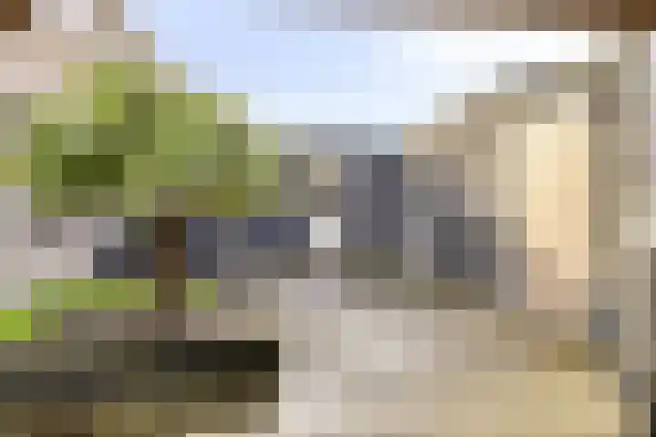 Poorthof 10 Oosterwolde thumbnail 30