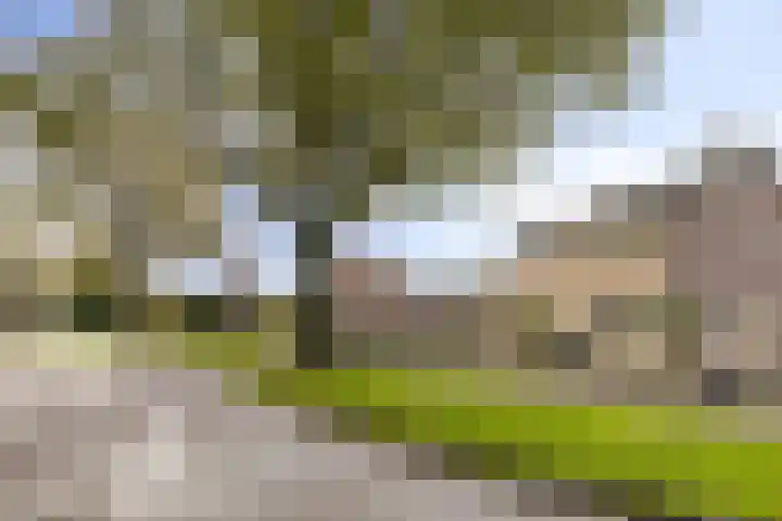 Poorthof 10 Oosterwolde thumbnail 33