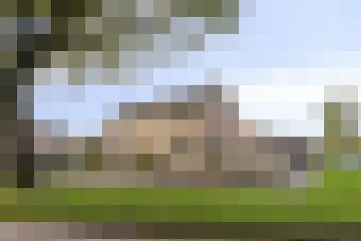Poorthof 10 Oosterwolde thumbnail 34