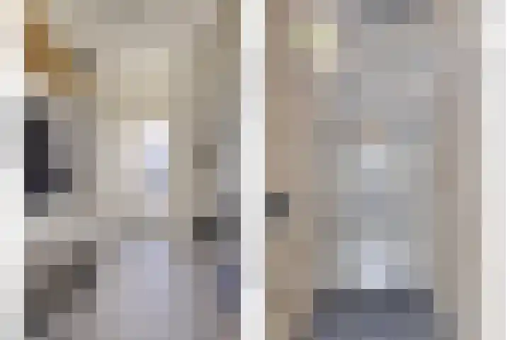 Poorthof 10 Oosterwolde thumbnail 7