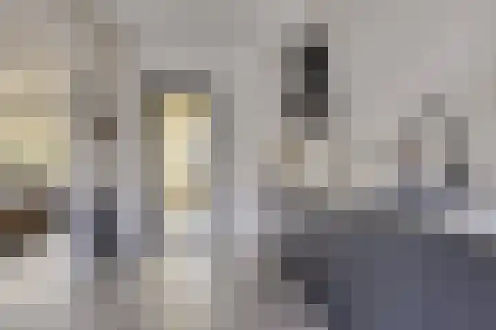 Poorthof 10 Oosterwolde thumbnail 8