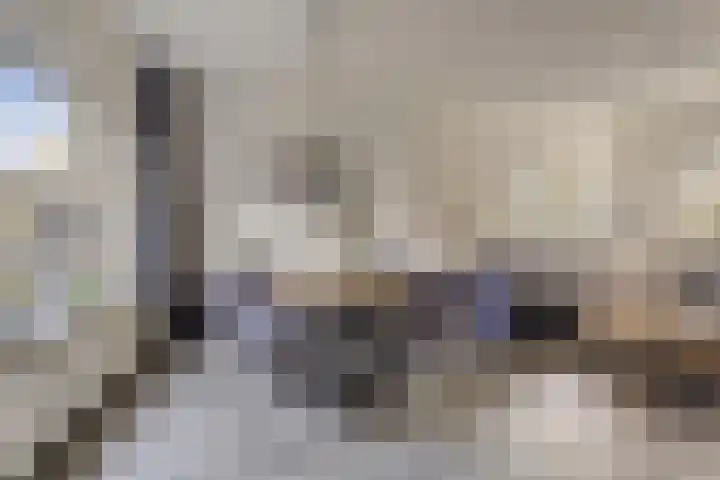 Poorthof 10 Oosterwolde thumbnail 9