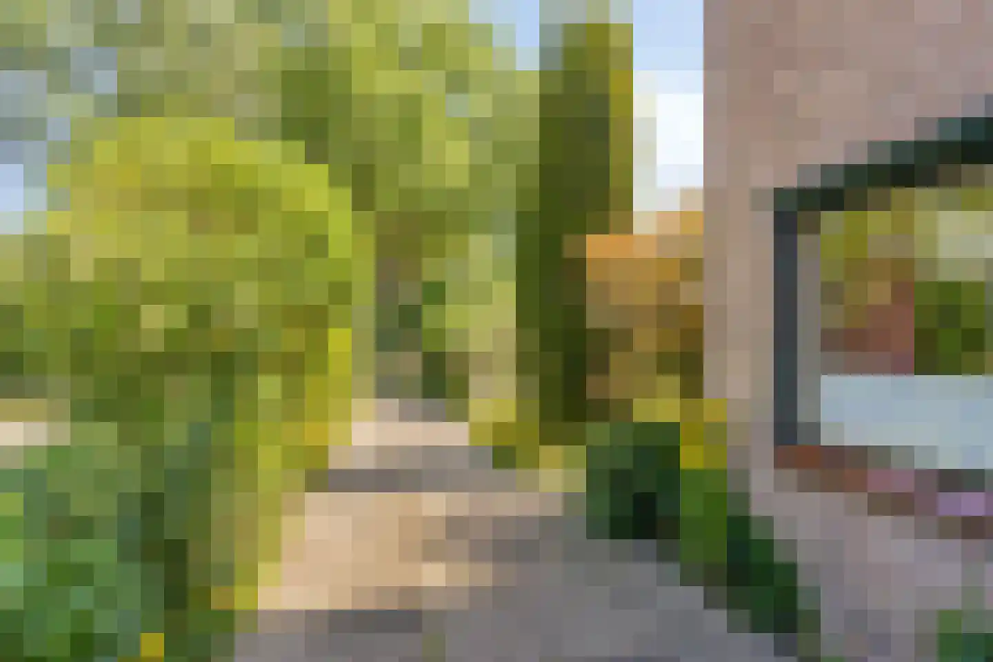 Poorthof 6 Oosterwolde thumbnail 10