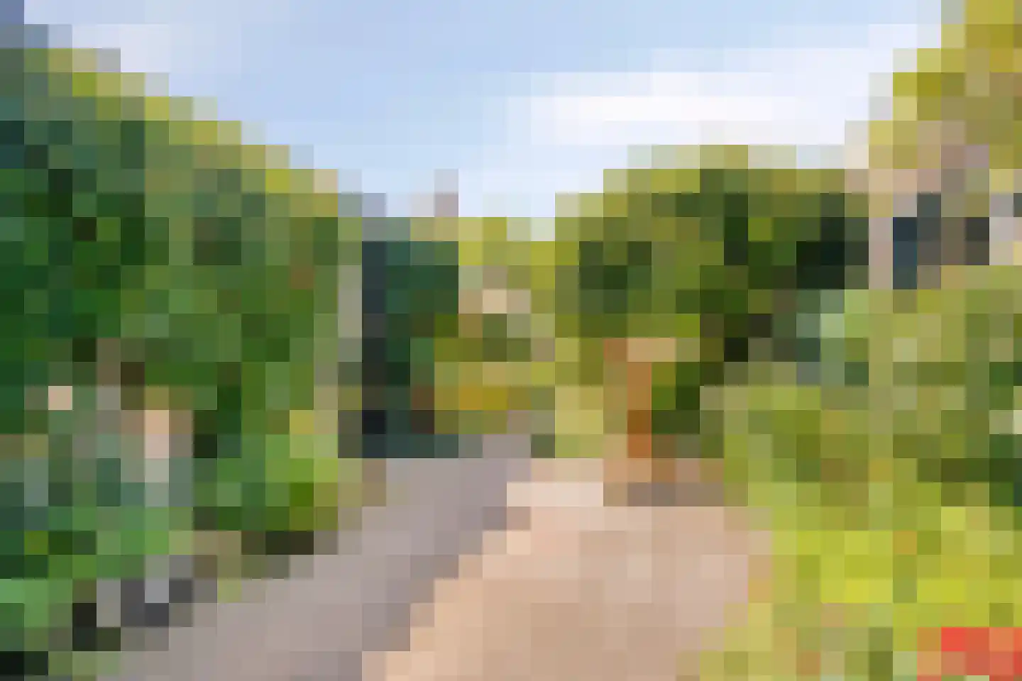 Poorthof 6 Oosterwolde thumbnail 34