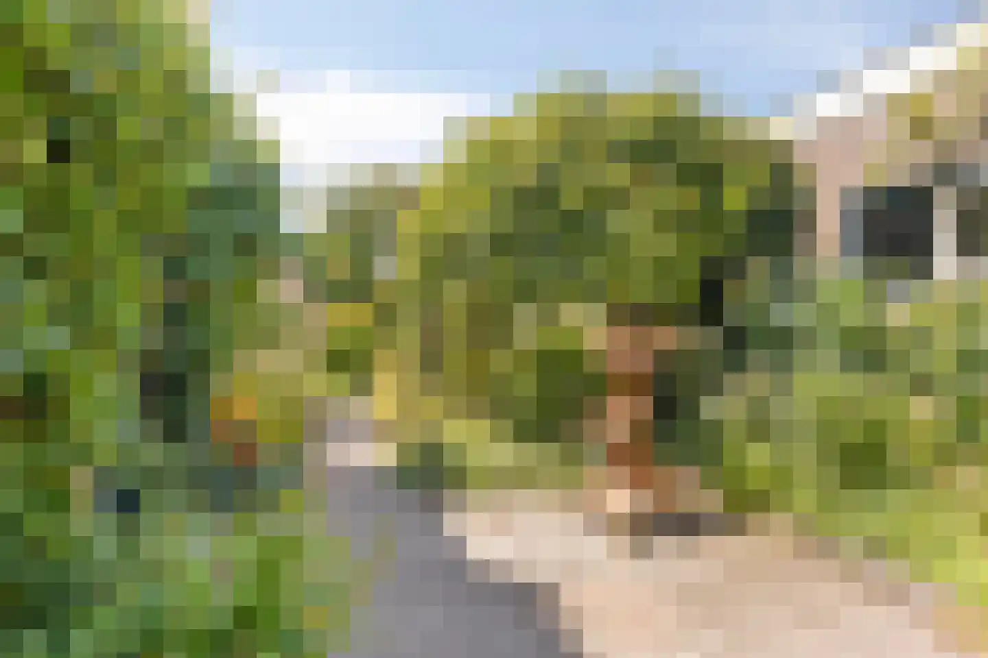 Poorthof 6 Oosterwolde thumbnail 35