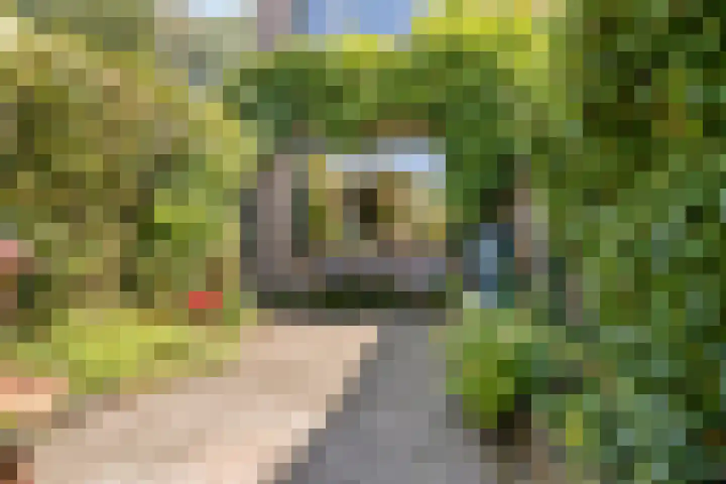 Poorthof 6 Oosterwolde thumbnail 36