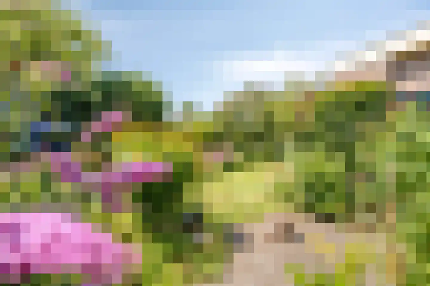 Poorthof 6 Oosterwolde thumbnail 38